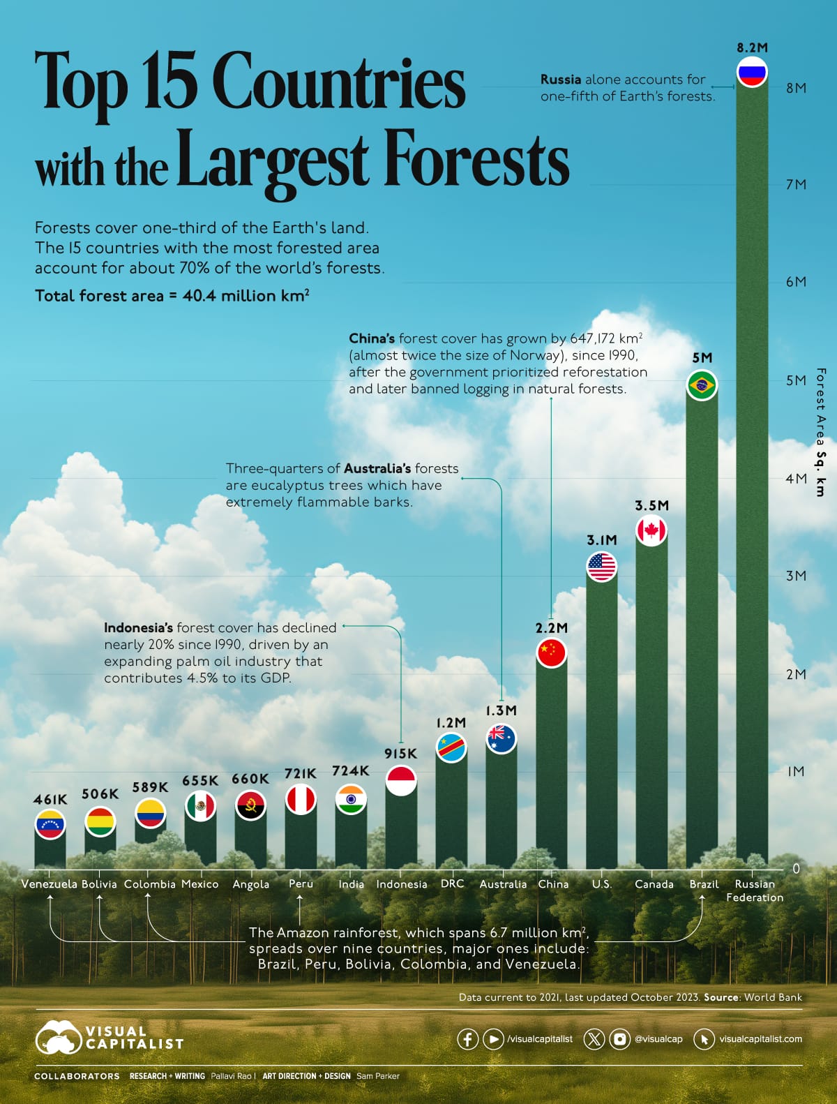 Top 15 Countries with the Largest Forests